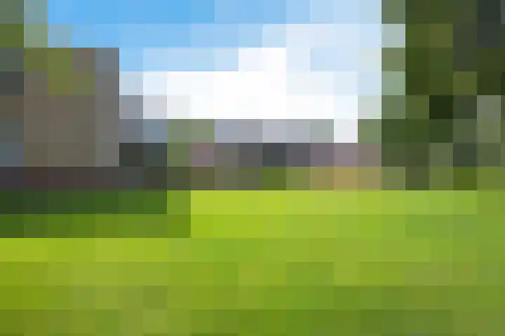 Kooistukken 17 a Eelde thumbnail 44