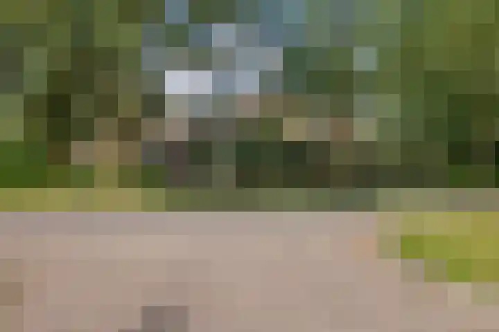 Kooistukken 17 a Eelde thumbnail 45