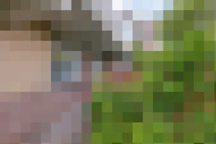 Kooistukken 17 a Eelde thumbnail 5