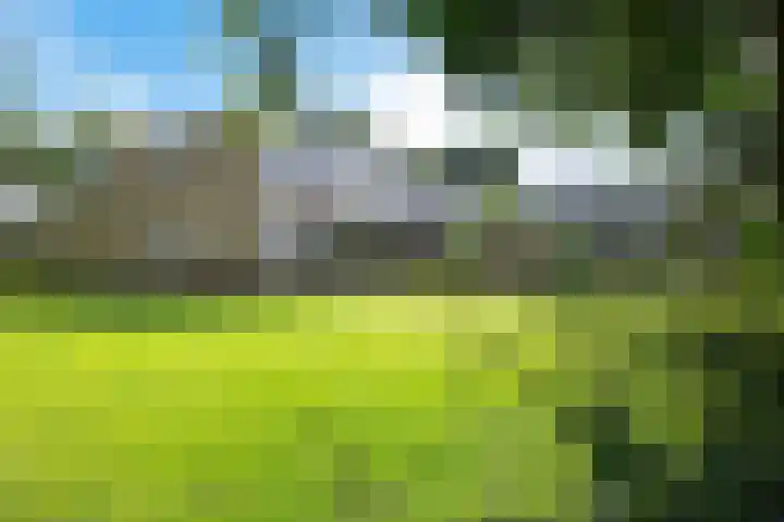 Kooistukken 17 a Eelde thumbnail 52