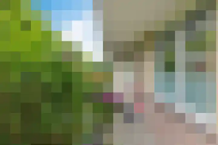 Kooistukken 17 a Eelde thumbnail 6