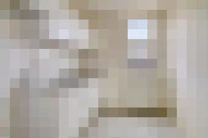 Kooistukken 21 Eelde thumbnail 12