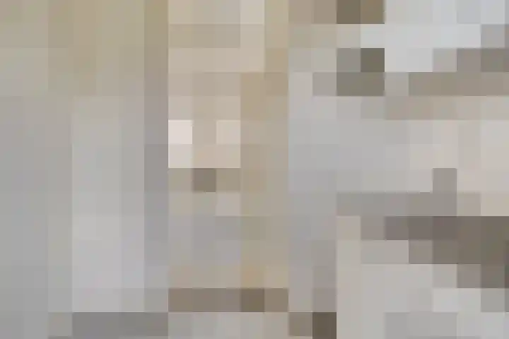 Kooistukken 21 Eelde thumbnail 13