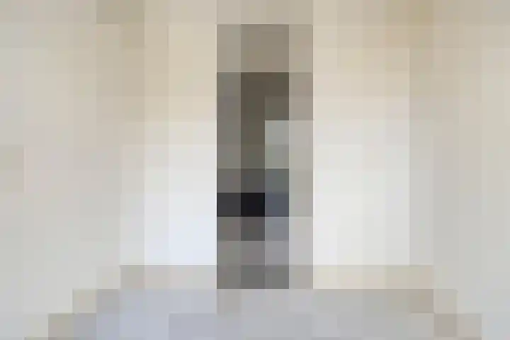 Kooistukken 21 Eelde thumbnail 17