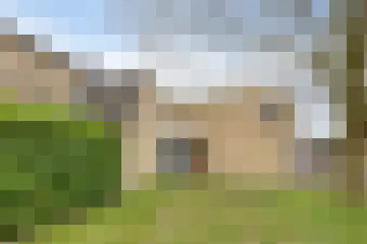 Kooistukken 21 Eelde thumbnail 21
