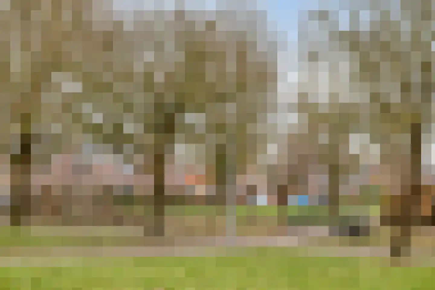 Kooistukken 21 Eelde thumbnail 23
