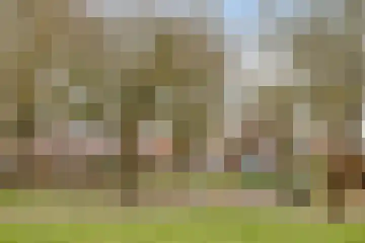 Kooistukken 21 Eelde thumbnail 23