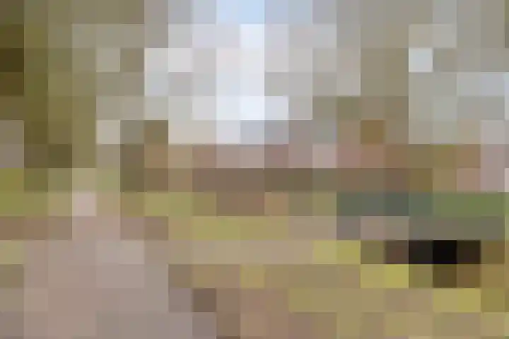 Kooistukken 21 Eelde thumbnail 24