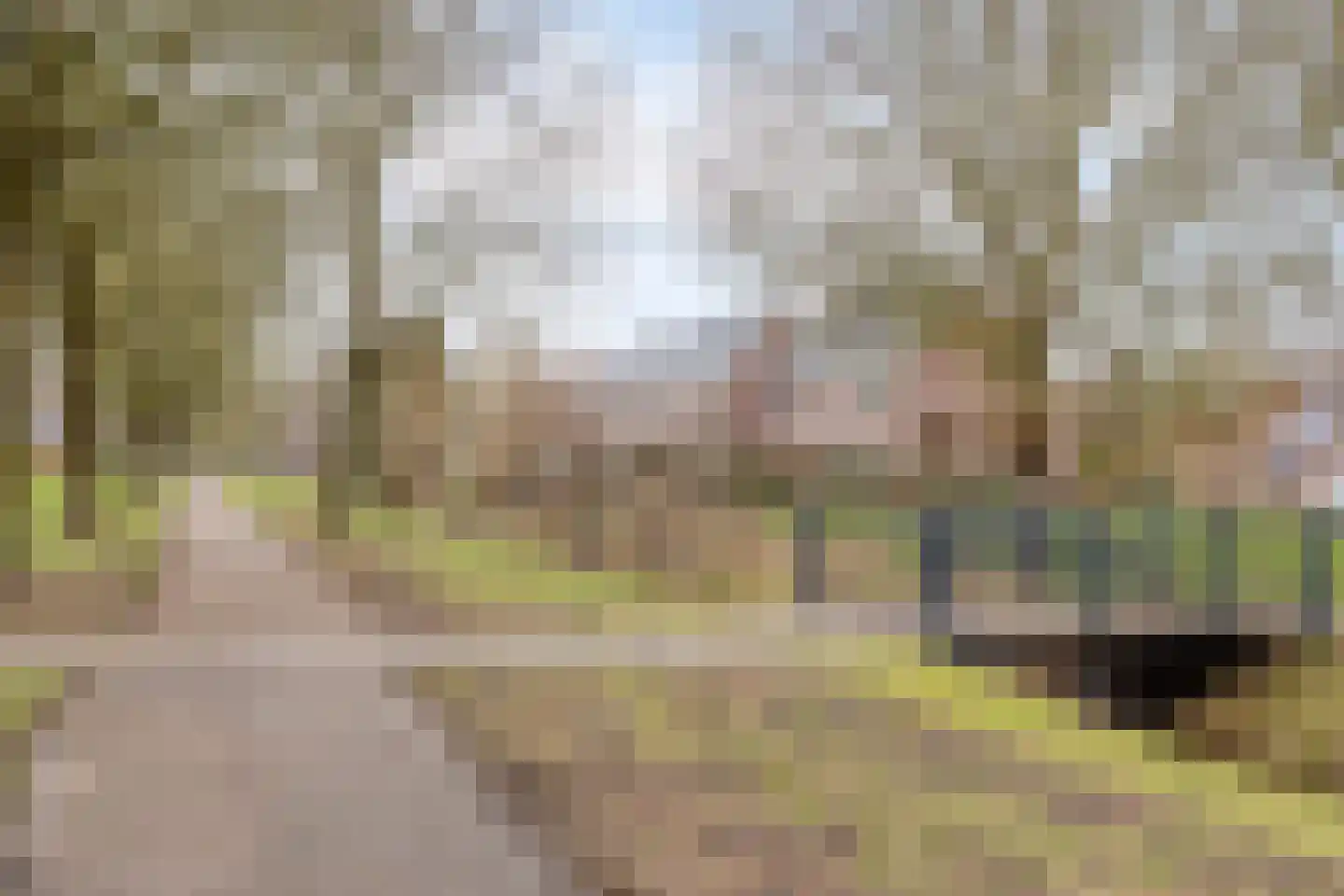 Kooistukken 21 Eelde thumbnail 24