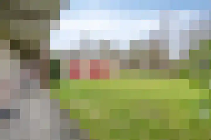 Kooistukken 21 Eelde thumbnail 25