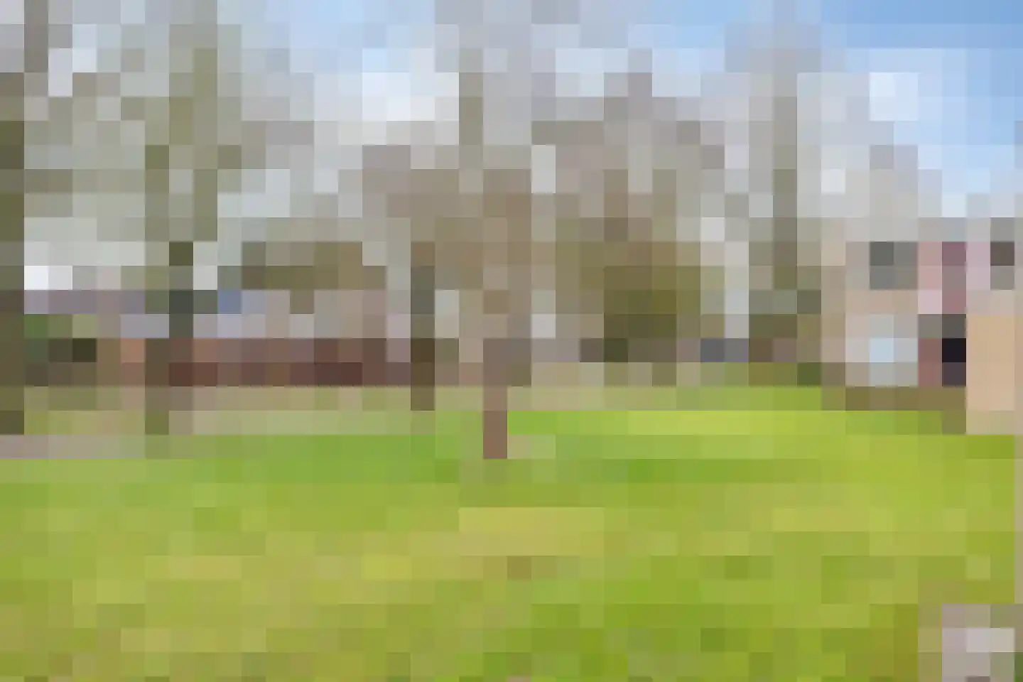 Kooistukken 21 Eelde thumbnail 26