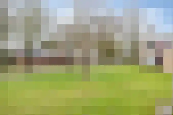 Kooistukken 21 Eelde thumbnail 26