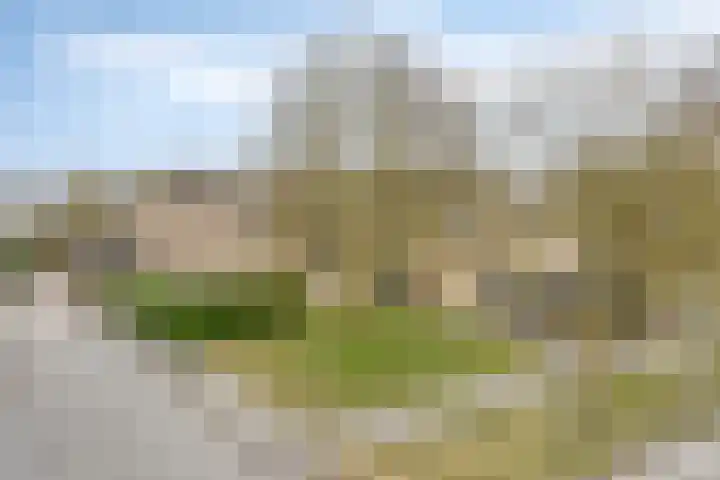 Kooistukken 21 Eelde thumbnail 27