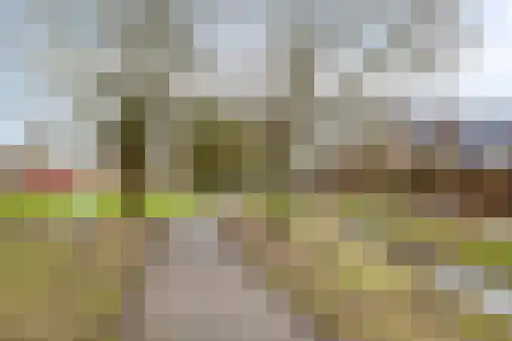 Kooistukken 21 Eelde thumbnail 28