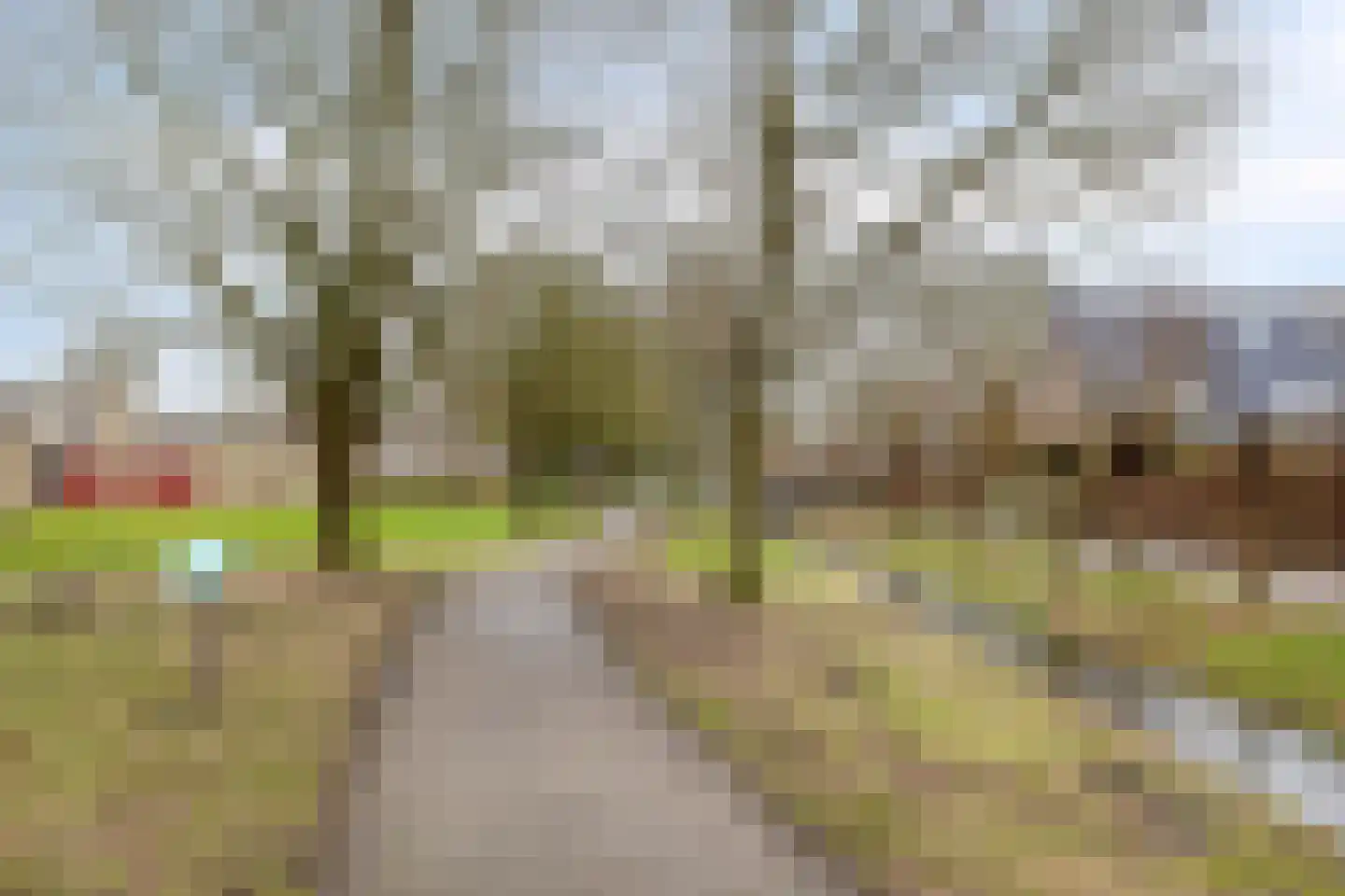 Kooistukken 21 Eelde thumbnail 28