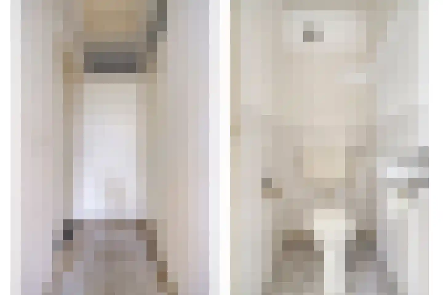 Kooistukken 21 Eelde thumbnail 7