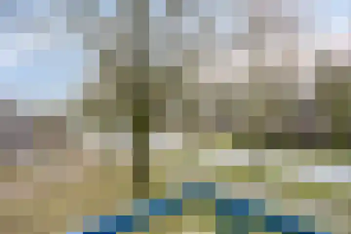Kooistukken 27 Eelde thumbnail 12