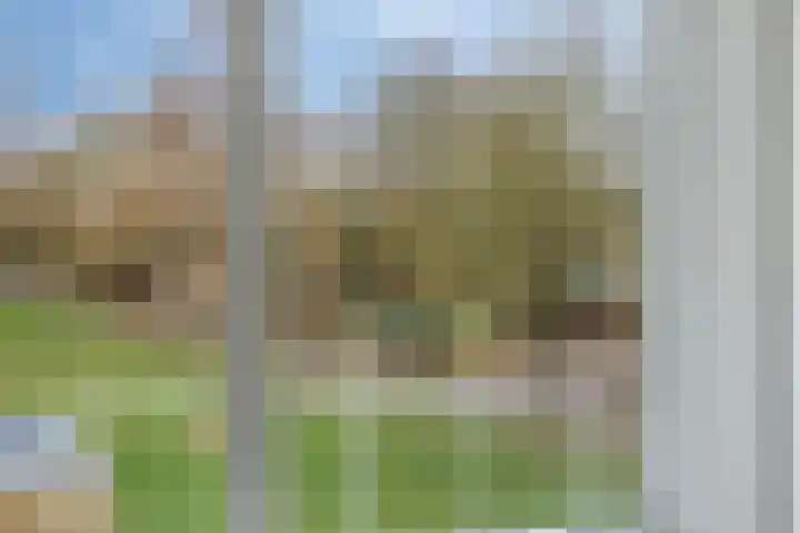 Kooistukken 27 Eelde thumbnail 23