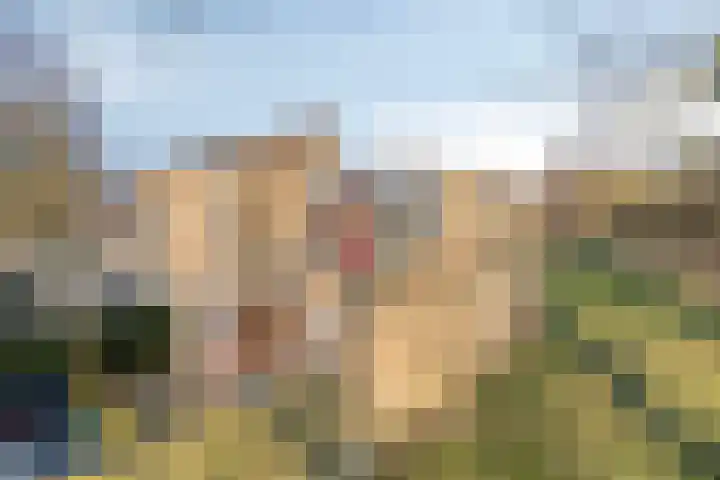 Kooistukken 27 Eelde thumbnail 29