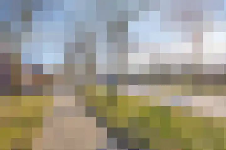 Kooistukken 27 Eelde thumbnail 31