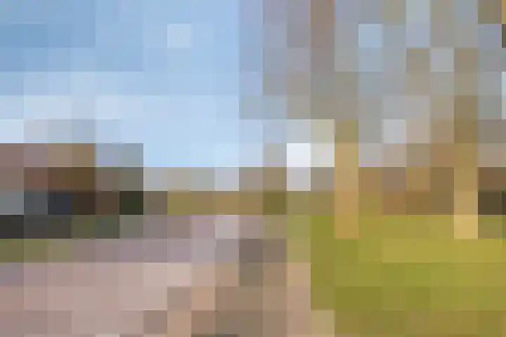 Kooistukken 27 Eelde thumbnail 32