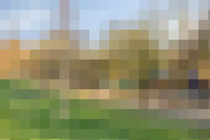 Kooistukken 27 Eelde thumbnail 34