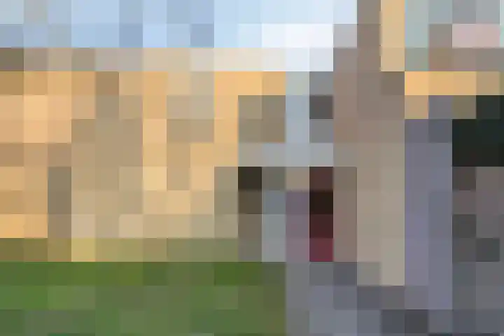 Kooistukken 27 Eelde thumbnail 4
