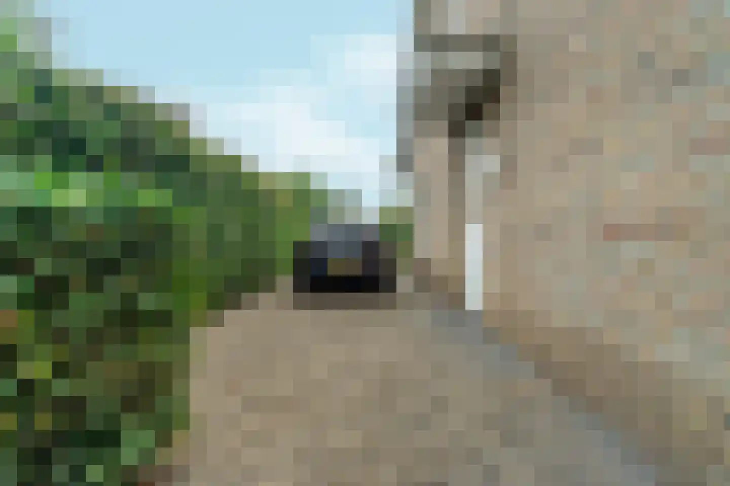 Kooiwalweg 32 Rotterdam thumbnail 90