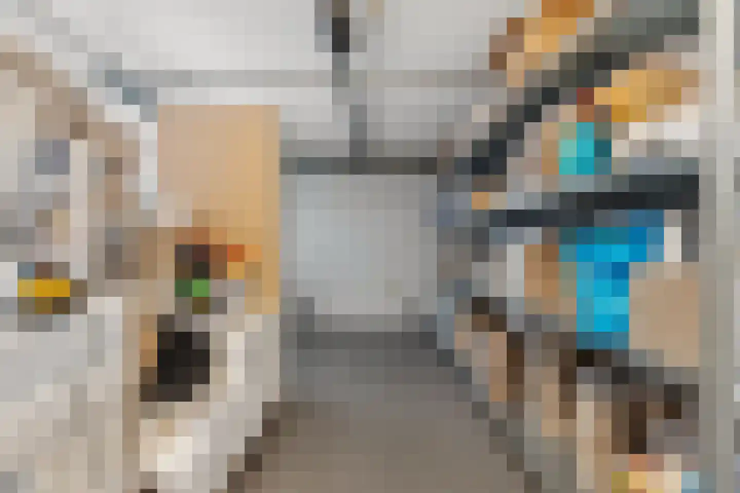 Kooiwalweg 32 Rotterdam thumbnail 91