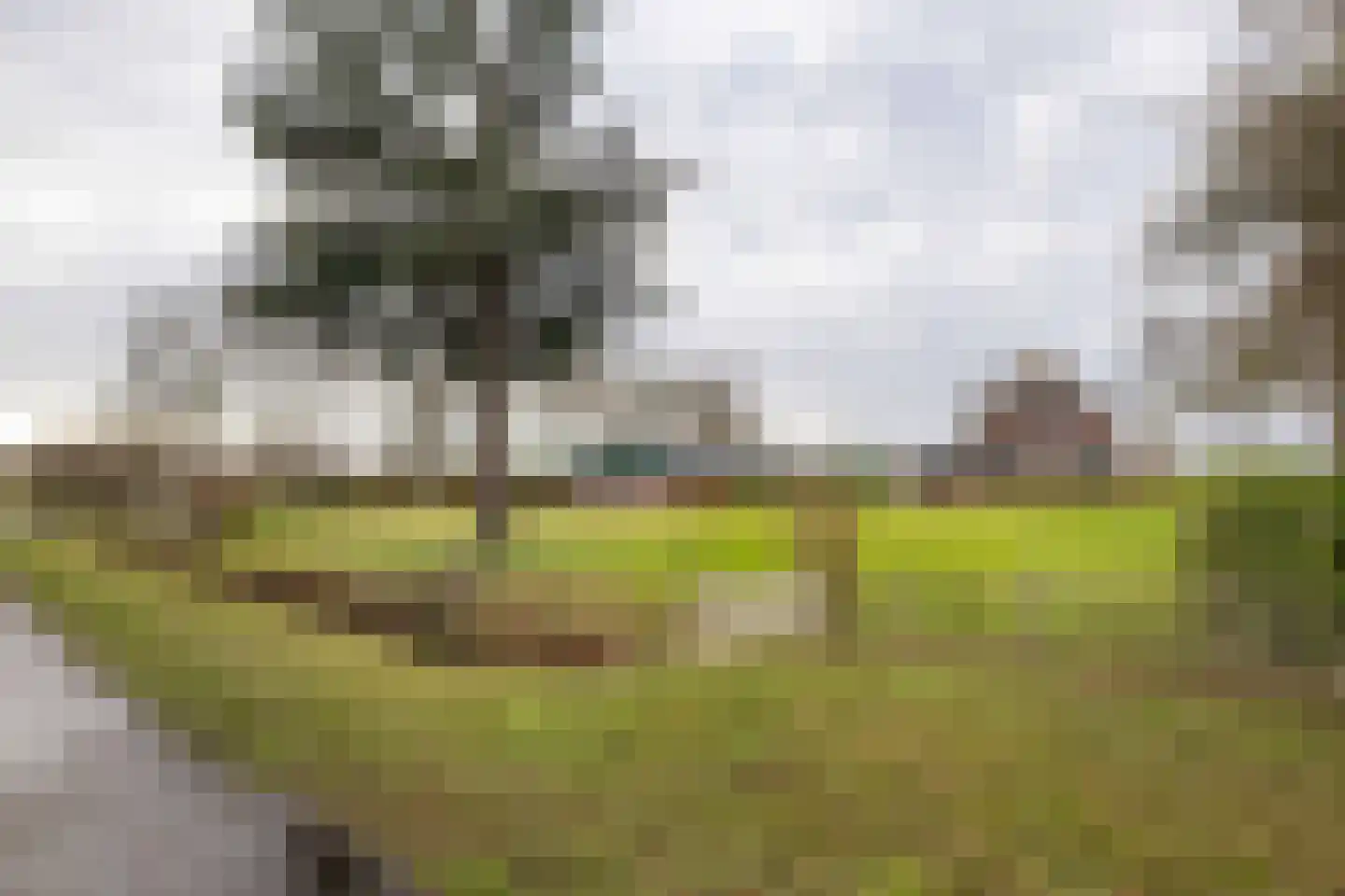 Kooiweg 22 Nijeholtwolde thumbnail 14