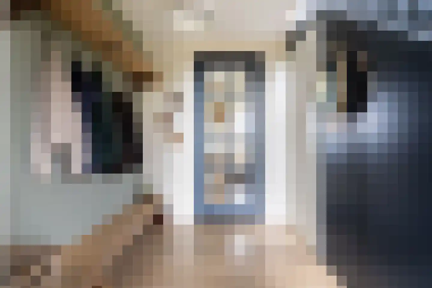 Kooiweg 22 Nijeholtwolde thumbnail 24