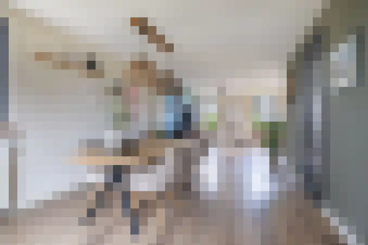 Kooiweg 22 Nijeholtwolde thumbnail 28