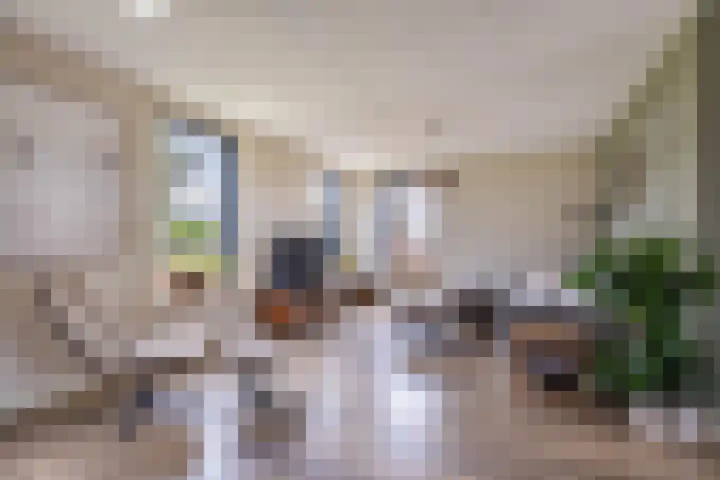Kooiweg 22 Nijeholtwolde thumbnail 30
