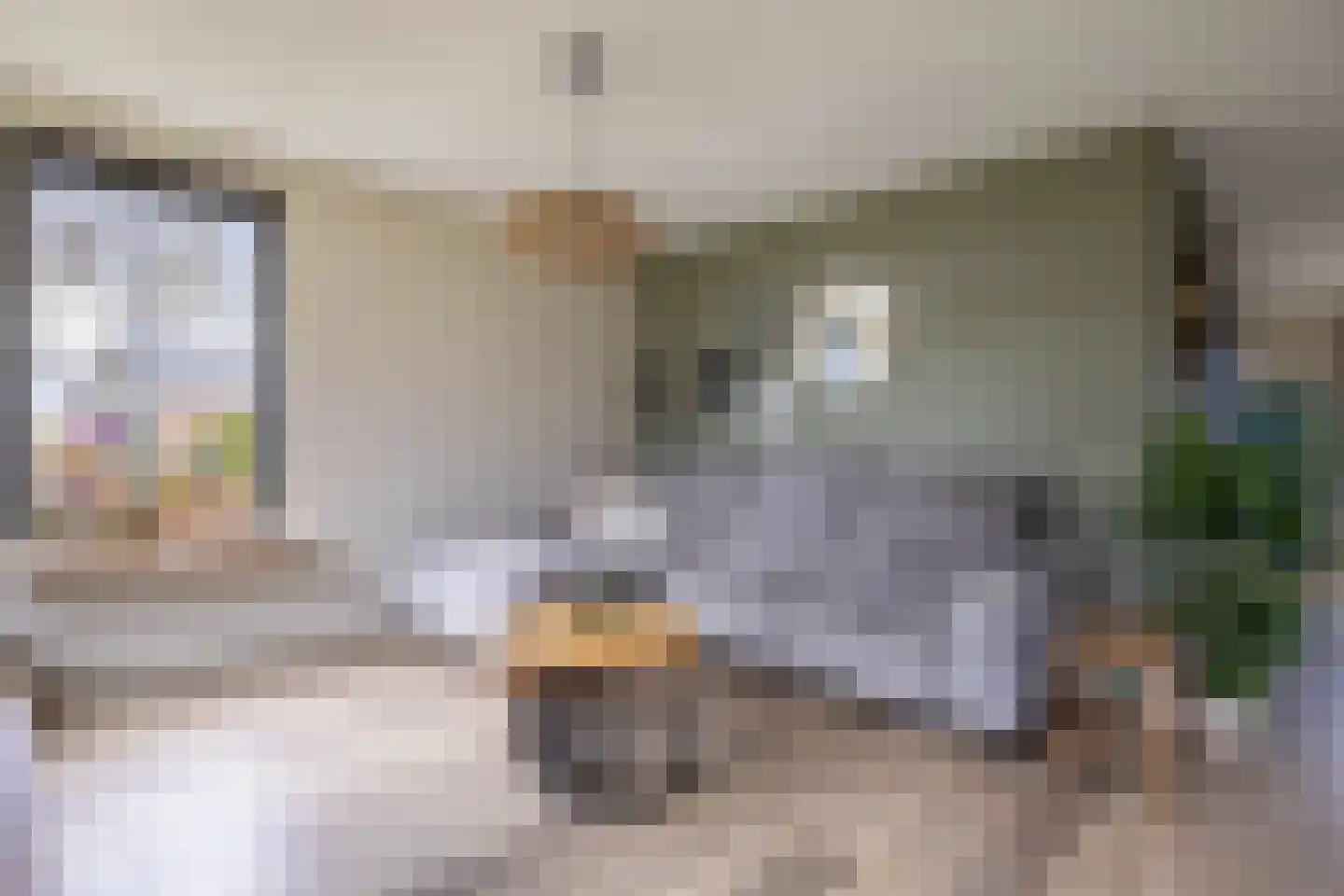 Kooiweg 22 Nijeholtwolde thumbnail 32