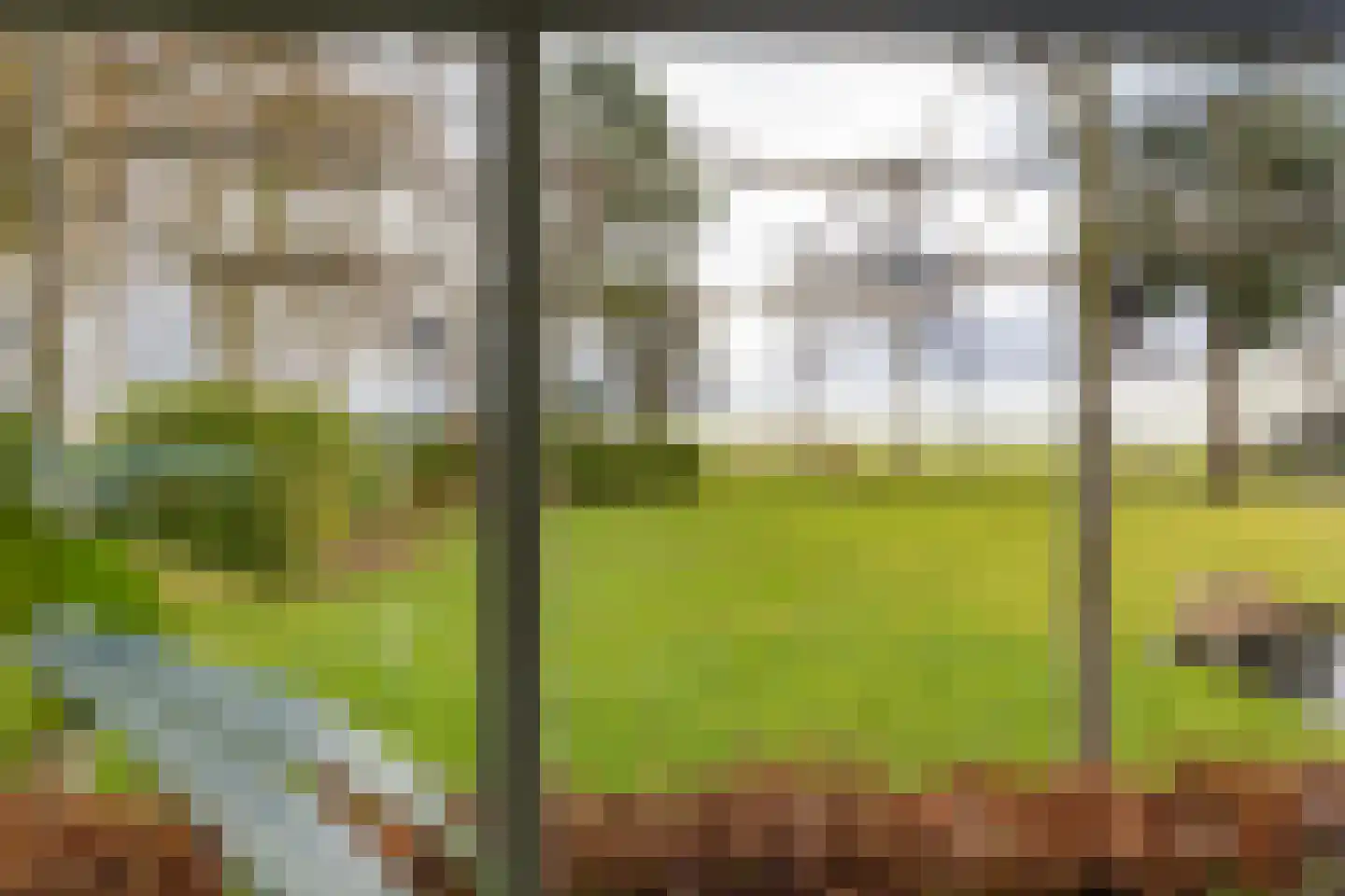 Kooiweg 22 Nijeholtwolde thumbnail 34