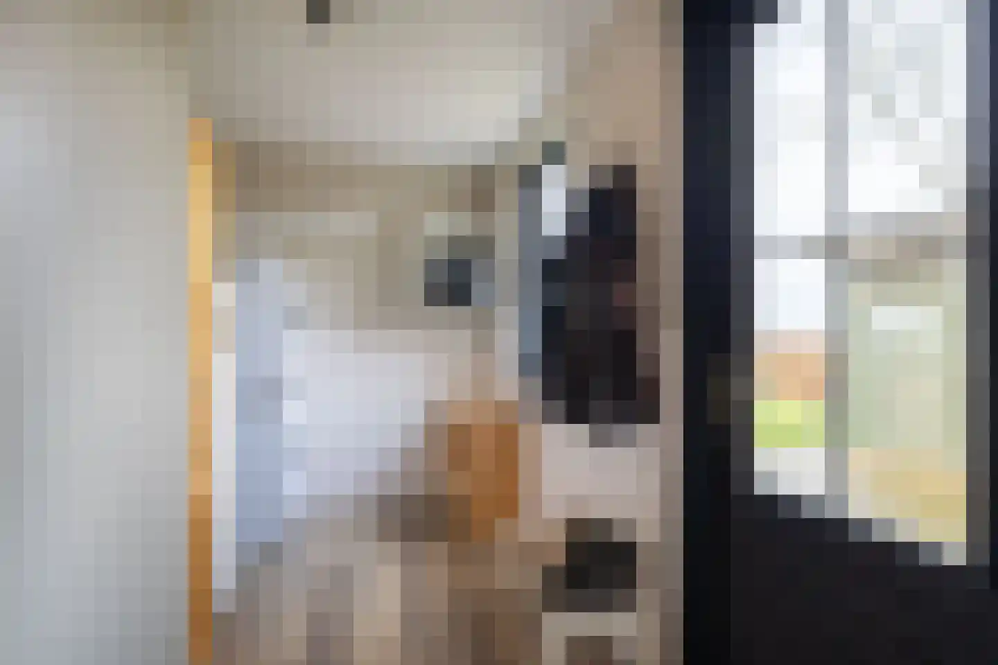 Kooiweg 22 Nijeholtwolde thumbnail 49
