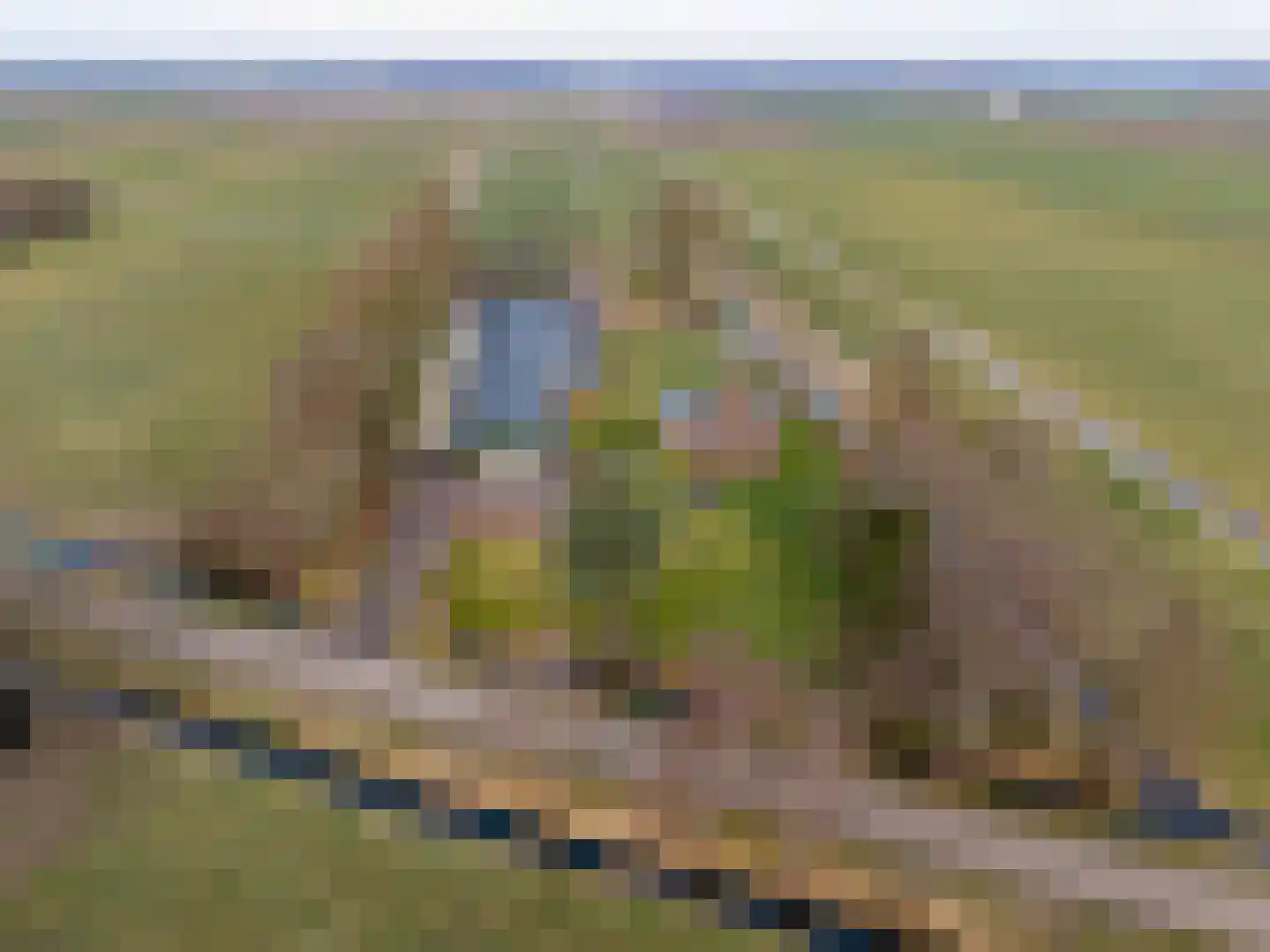 Kooiweg 22 Nijeholtwolde thumbnail 5