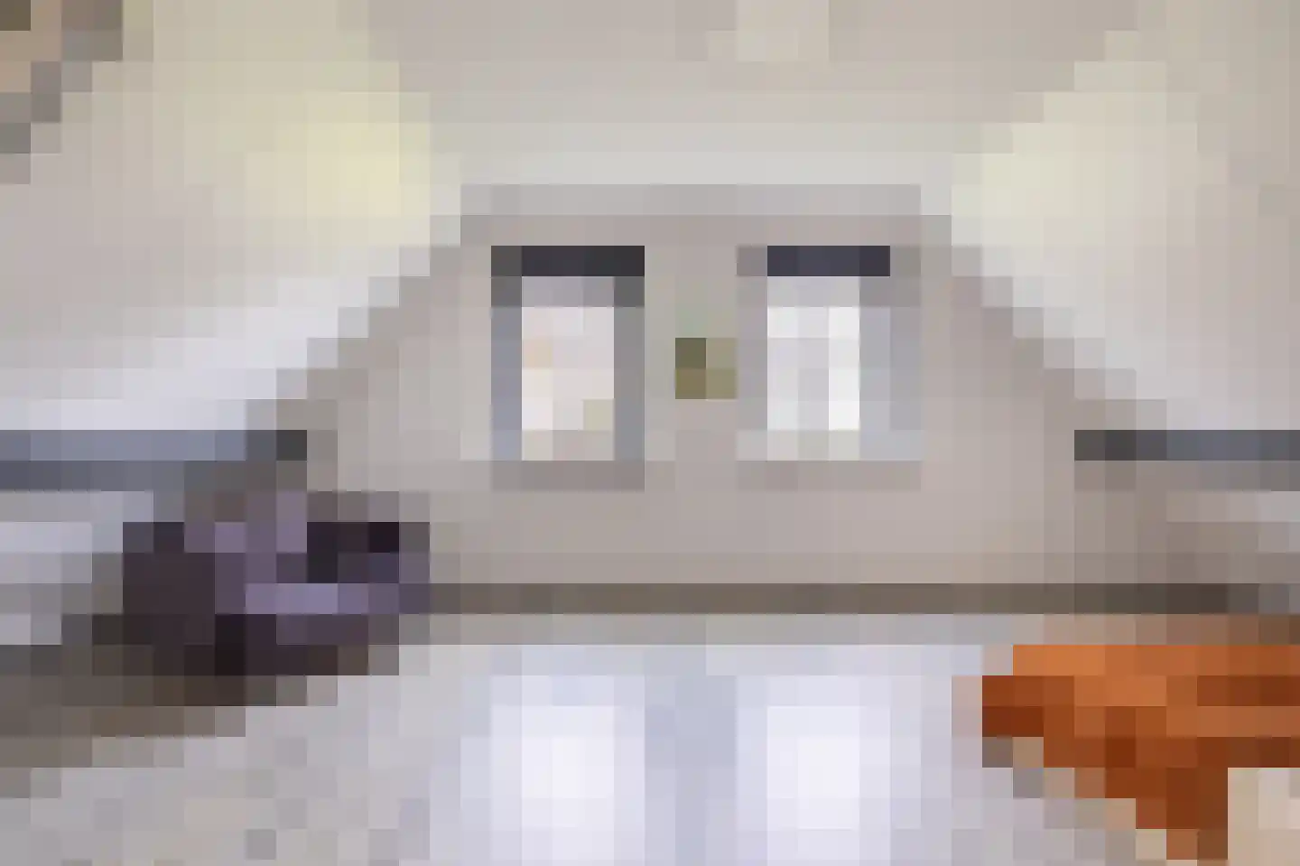 Kooiweg 22 Nijeholtwolde thumbnail 52