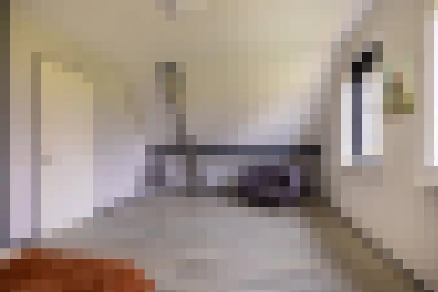 Kooiweg 22 Nijeholtwolde thumbnail 54