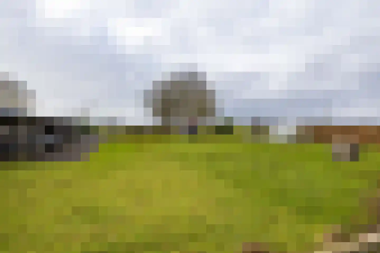 Kooiweg 22 Nijeholtwolde thumbnail 59