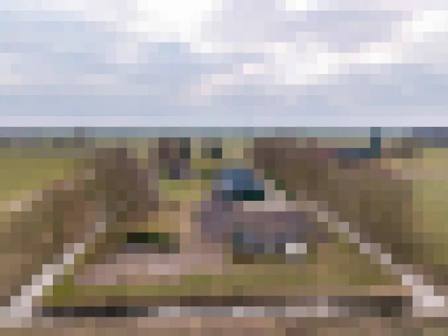 Kooiweg 22 Nijeholtwolde thumbnail 6