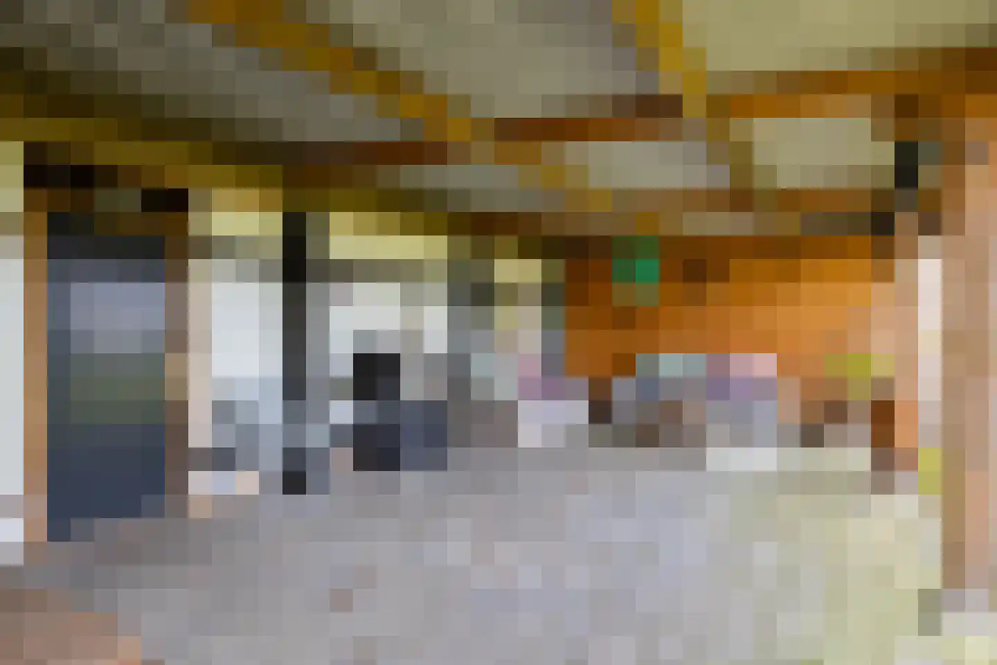 Kooiweg 22 Nijeholtwolde thumbnail 60