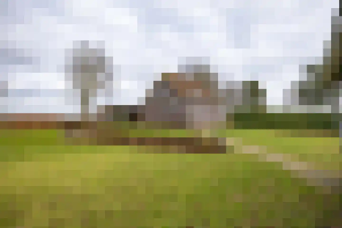 Kooiweg 22 Nijeholtwolde thumbnail 63