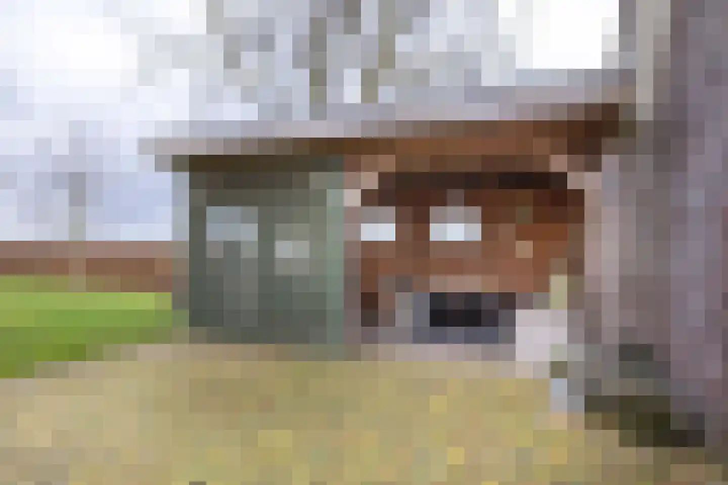 Kooiweg 22 Nijeholtwolde thumbnail 67