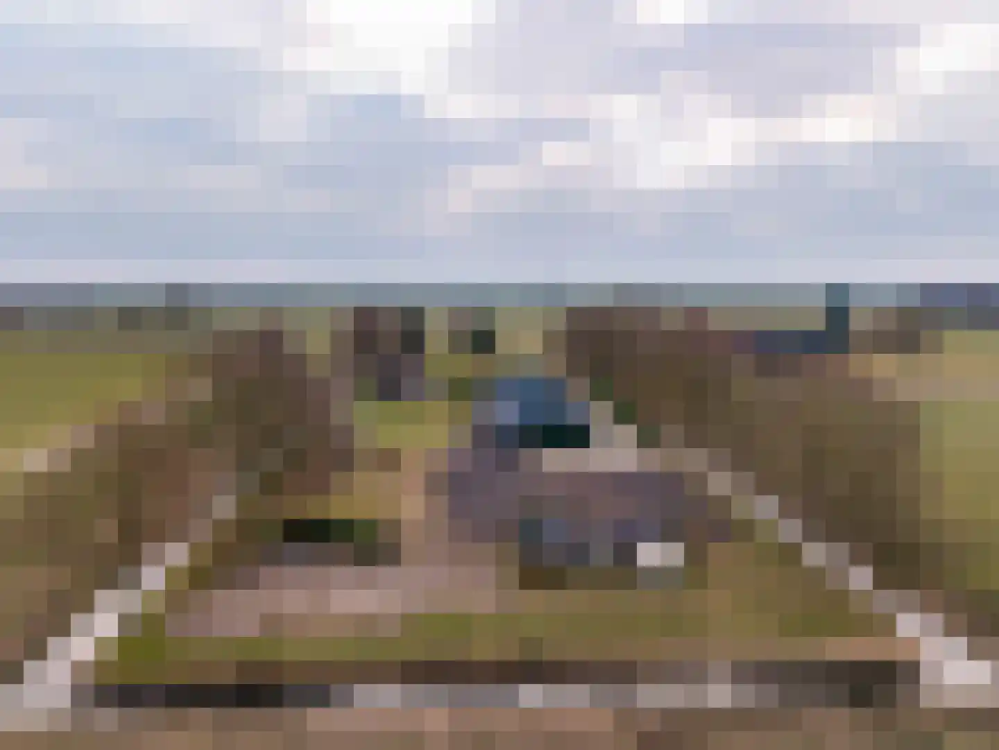 Kooiweg 22 Nijeholtwolde thumbnail 69
