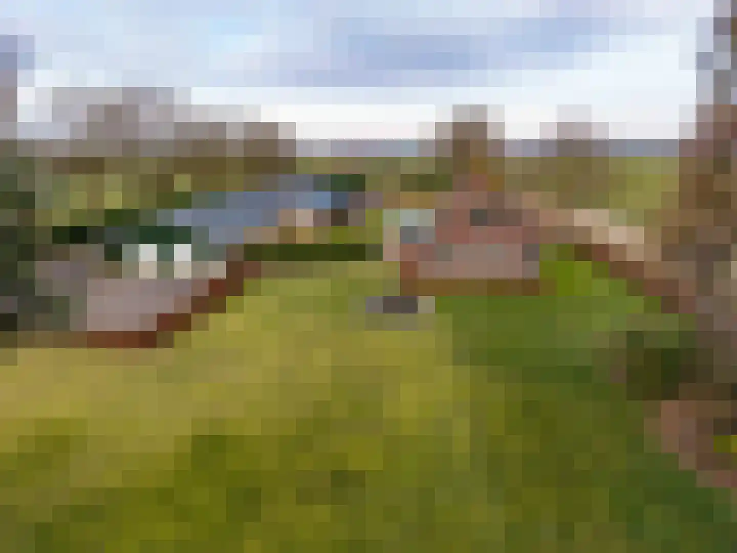 Kooiweg 22 Nijeholtwolde thumbnail 8