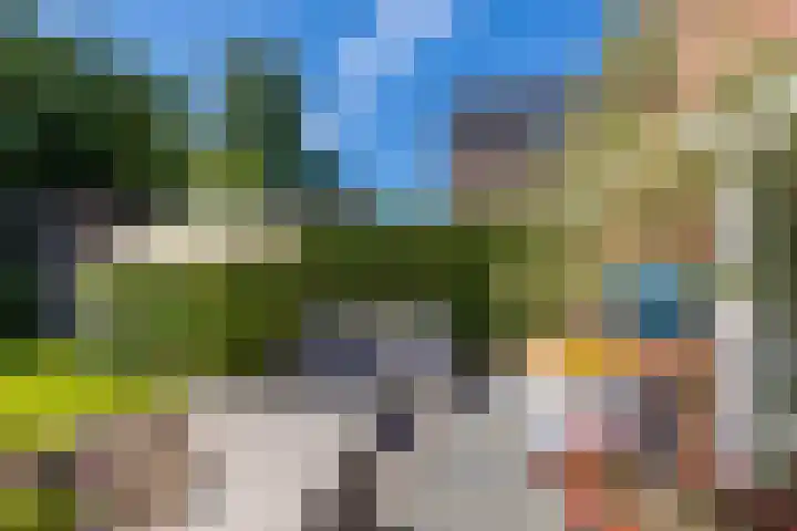 Kooiweg 25 Eelde thumbnail 29