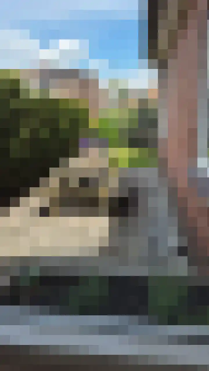 Kooiweg 25 Eelde thumbnail 31