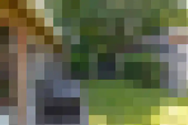 Kooiweg 25 Eelde thumbnail 32
