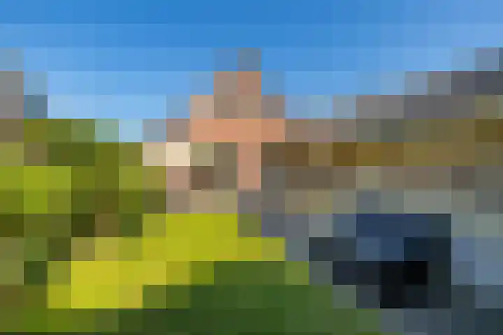 Kooiweg 25 Eelde thumbnail 33